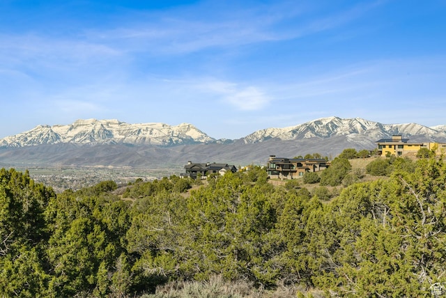 2792 E Ln Sal Peak Dr Unit 618, Heber City, UT 84032