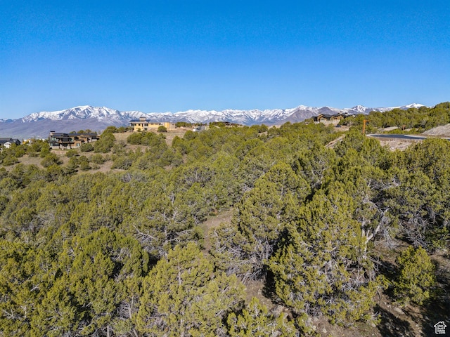 2792 E Ln Sal Peak Dr Unit 618, Heber City, UT 84032