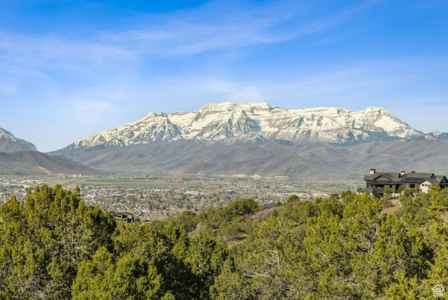 2792 E Ln Sal Peak Dr Unit 618, Heber City, UT 84032