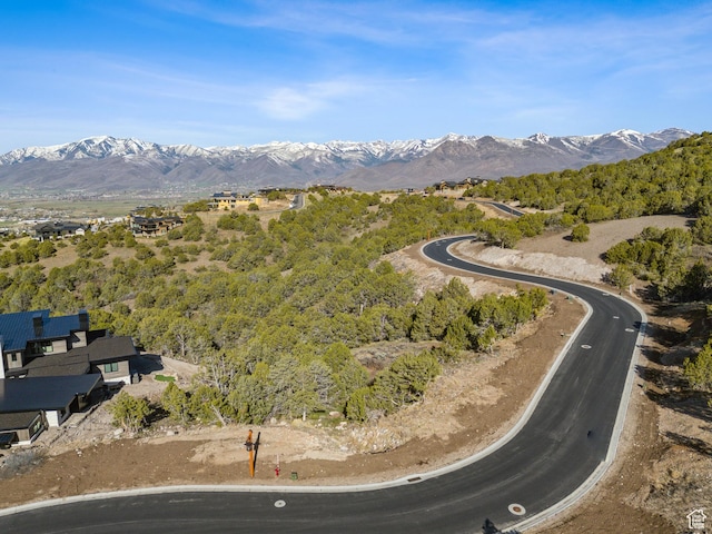 2792 E Ln Sal Peak Dr Unit 618, Heber City, UT 84032