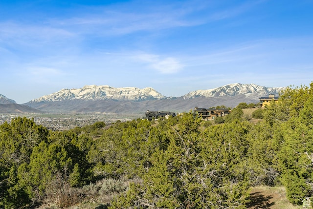 2792 E Ln Sal Peak Dr Unit 618, Heber City, UT 84032