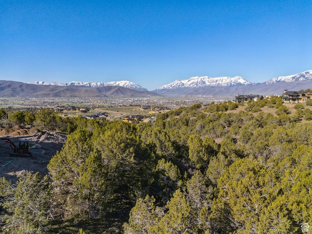 2792 E Ln Sal Peak Dr Unit 618, Heber City, UT 84032
