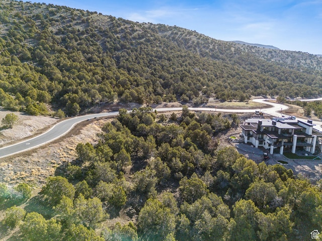 2792 E Ln Sal Peak Dr Unit 618, Heber City, UT 84032