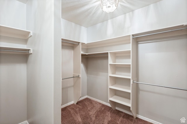 9226 N Mount Airey Dr W, Eagle Mountain, UT 84005 - spacious closet featuring carpet flooring