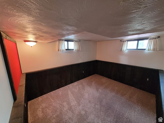 273 S 7th St S, Montpelier, ID 83254 - below grade area featuring carpet flooring