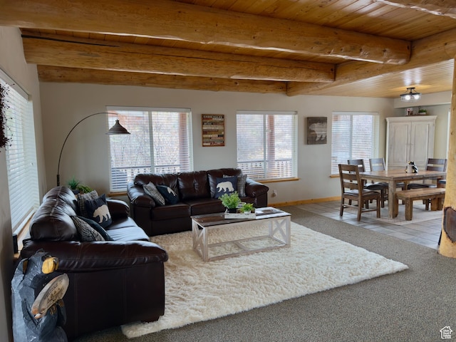 272 Clark Ave, Fish Haven, ID 83287 - photo 10