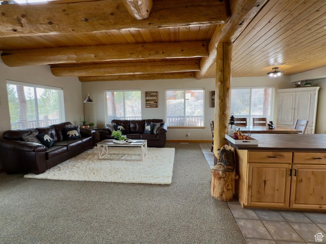 272 Clark Ave, Fish Haven, ID 83287 - photo 12