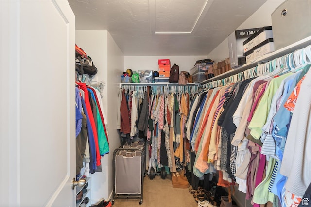 111 S 1800 W, Pleasant Grove, UT 84062 - walk in closet with attic access and carpet floors