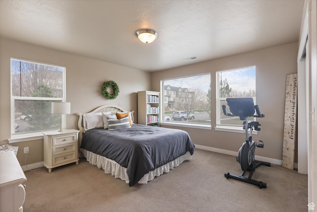 111 S 1800 W, Pleasant Grove, UT 84062 - bedroom with light carpet, visible vents, and multiple windows