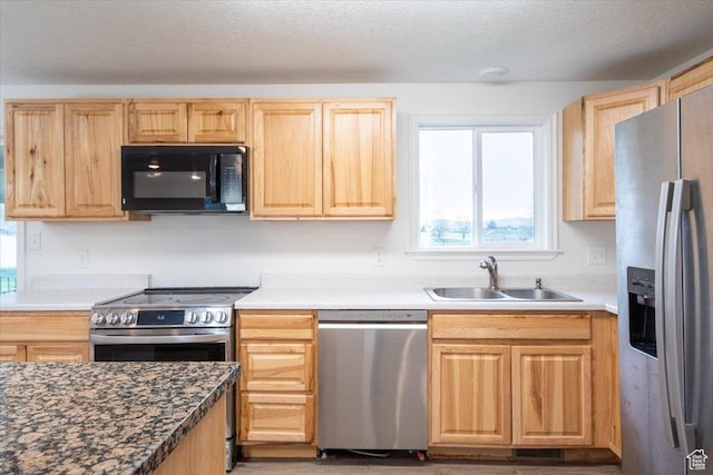 2389 S 4300 W, Taylor, UT 84401 - kitchen featuring plenty of natural light, a sink, appliances with stainless steel finishes, and light brown cabinets
