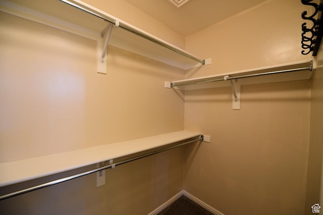 view of walk in closet