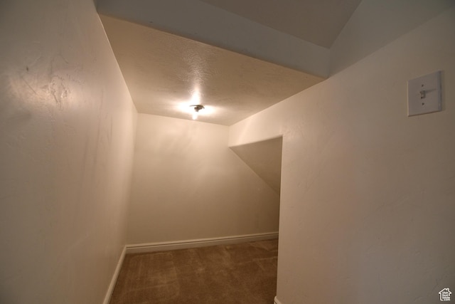 interior space featuring carpet