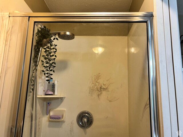 9762 S 3350 W, Payson, UT 84651 - full bathroom featuring a stall shower