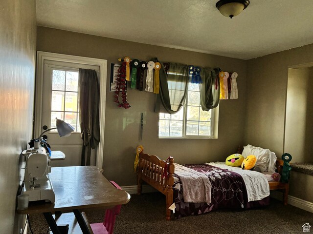 9762 S 3350 W, Payson, UT 84651 - bedroom featuring baseboards and carpet