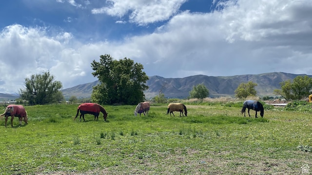 9762 S 3350 W, Payson, UT 84651 - view of mountain feature featuring a rural view