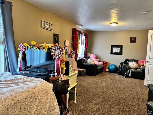 9762 S 3350 W, Payson, UT 84651 - carpeted bedroom featuring a textured ceiling