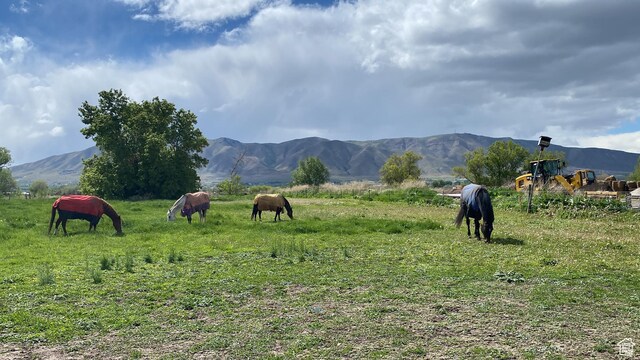 9762 S 3350 W, Payson, UT 84651 - property view of mountains featuring a rural view