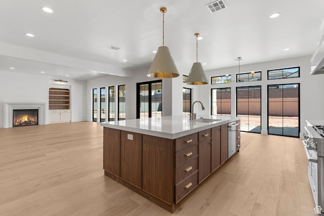 3382 E Ezra Ln, St George, UT 84790 - kitchen with a warm lit fireplace, visible vents, light wood finished floors, and stainless steel appliances