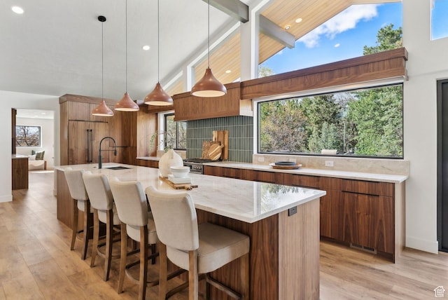 kitchen with light stone counters, an island with sink, a sink, and light wood finished floors