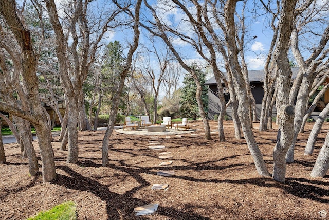 view of yard with a patio area and an outdoor fire pit