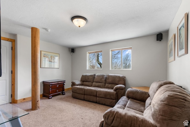 2292 S Aspen Loop, Garden City, UT 84028 - living area featuring baseboards, a textured ceiling, and light colored carpet