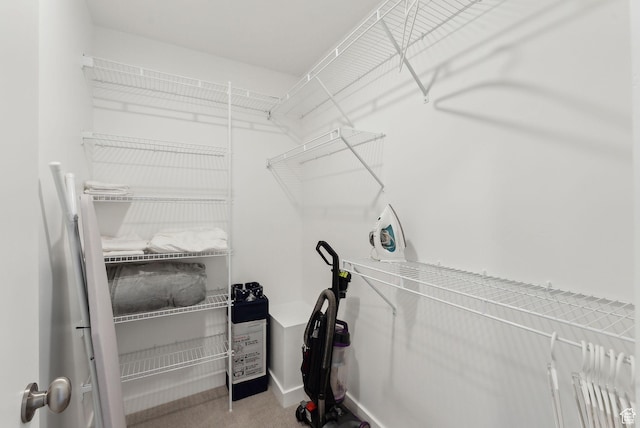 306 W Azure Sky Ln, Salt Lake City, UT 84103 - view of walk in closet