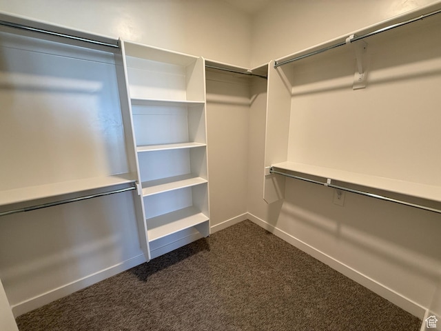 4 S 3830 W Unit 418, West Point, UT 84015 - spacious closet with dark carpet
