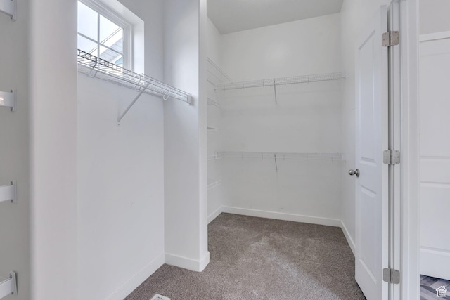 spacious closet with carpet