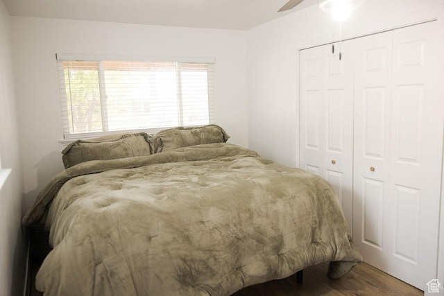 bedroom with wood finished floors, a closet, and a ceiling fan