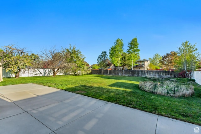view of yard with a patio area and a fenced backyard