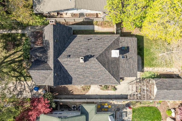 bird's eye view