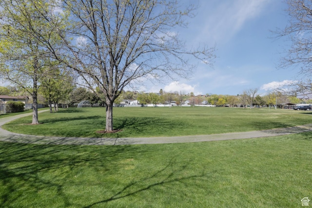 view of home's community with a lawn