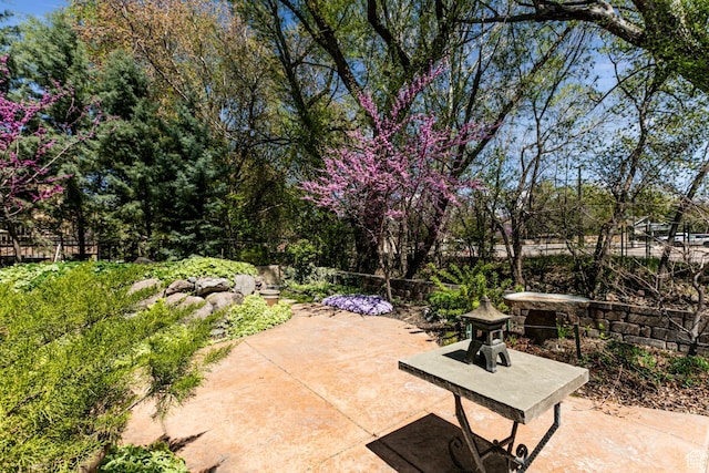6061 S Bridges Ln, Murray, UT 84121 - view of patio featuring fence