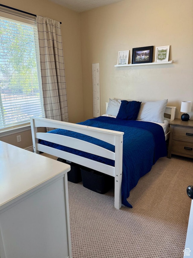 175 N 900 W, Roosevelt, UT 84066 - bedroom featuring light carpet and multiple windows