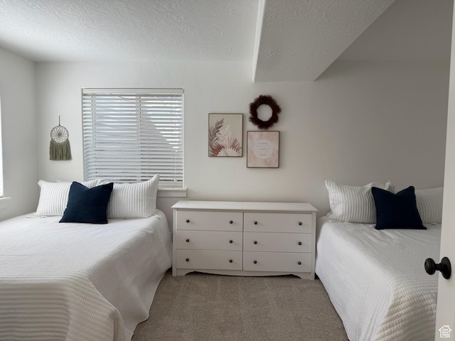 175 N 900 W, Roosevelt, UT 84066 - bedroom featuring a textured ceiling and carpet flooring