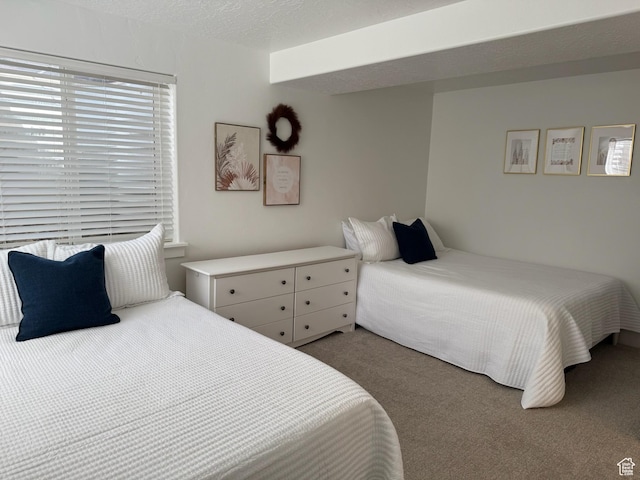 175 N 900 W, Roosevelt, UT 84066 - bedroom with carpet floors