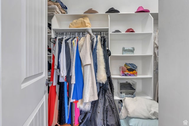 view of walk in closet