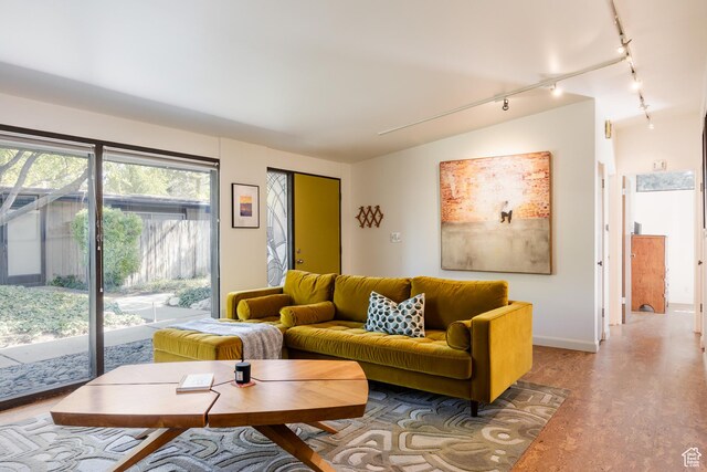 2779 S Connor St S, Millcreek, UT 84109 - living room featuring rail lighting, baseboards, and light wood-style floors