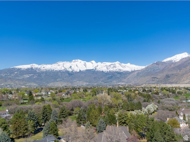 mountain view