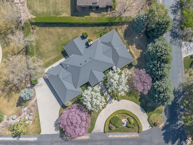 bird's eye view