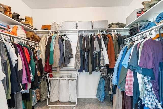 2212 W Autumn Dr S, Mapleton, UT 84664 - walk in closet featuring carpet floors