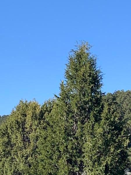Pine Valley, Ut, UT 84781 - photo 30