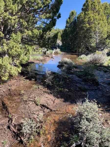 Pine Valley, Ut, UT 84781 - photo 49