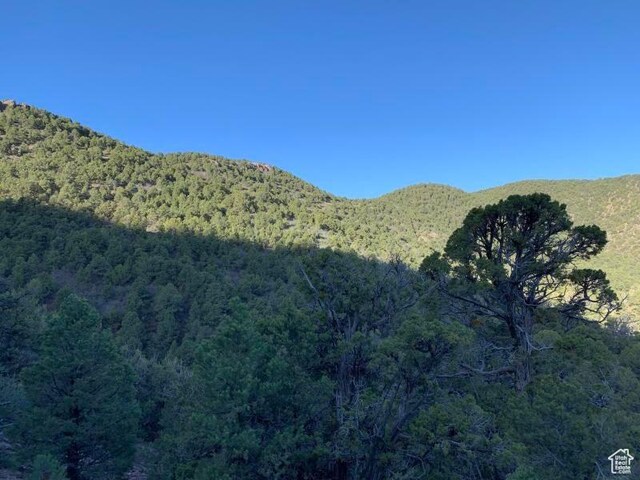 Pine Valley, Ut, UT 84781 - photo 12