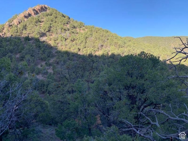 Pine Valley, Ut, UT 84781 - photo 20
