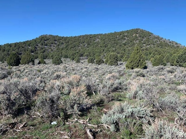 Pine Valley, Ut, UT 84781 - photo 28