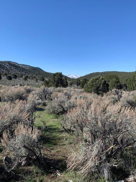 Pine Valley, Ut, UT 84781 - photo 69