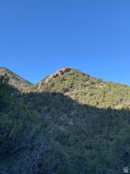 Pine Valley, Ut, UT 84781 - photo 17