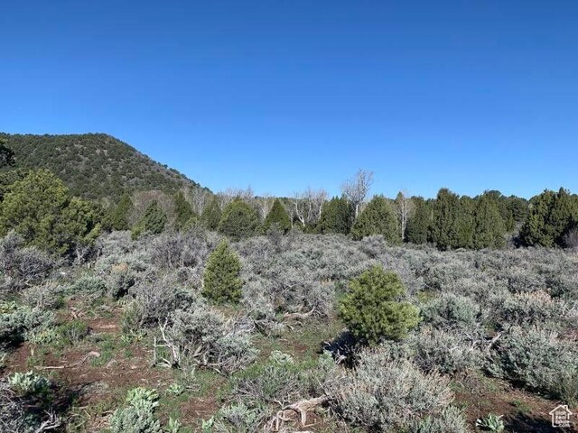 Pine Valley, Ut, UT 84781 - photo 37
