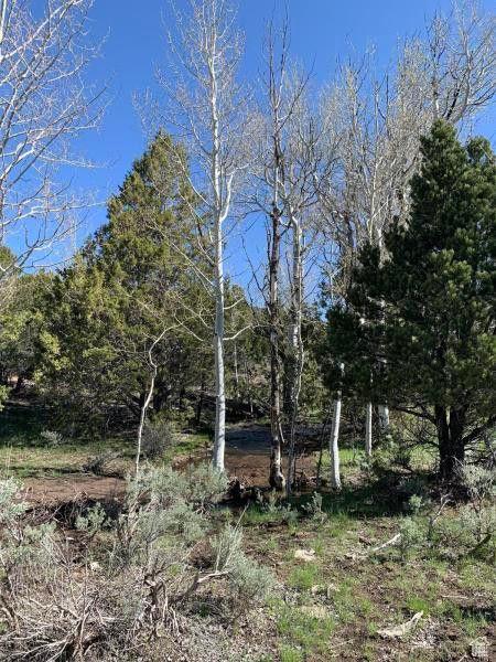 Pine Valley, Ut, UT 84781 - photo 51